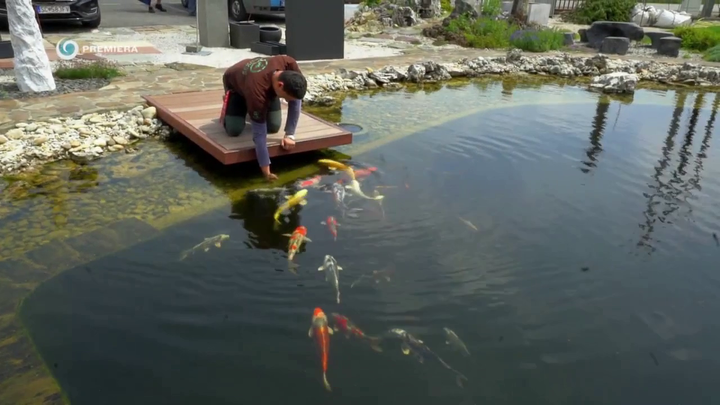 Nova zahrada - zahradne jazierko